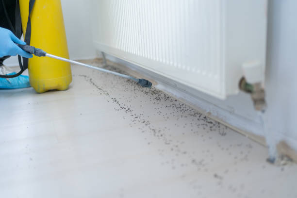 Best Termite Control Services  in Mentone, IN