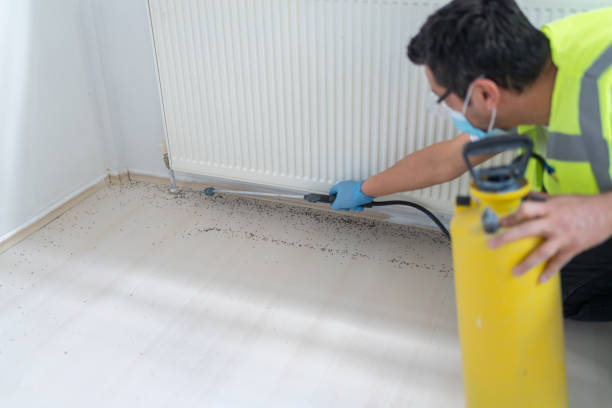 Best Exterminator Services  in Mentone, IN