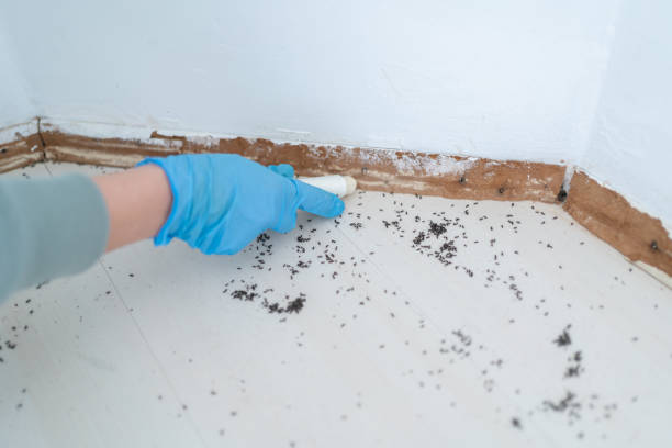 Best Insect Control  in Mentone, IN